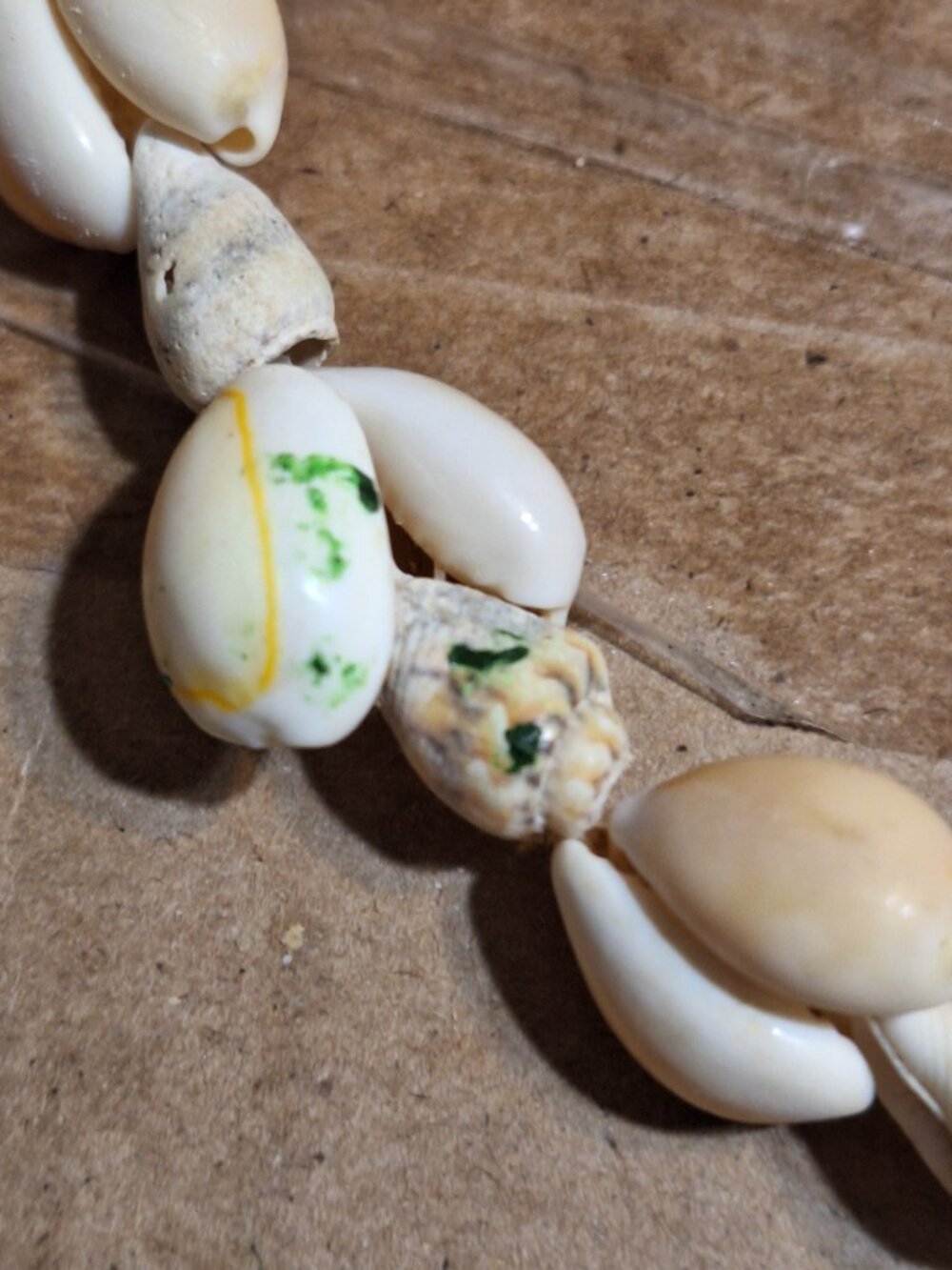 shell necklace - Picture 8 of 12